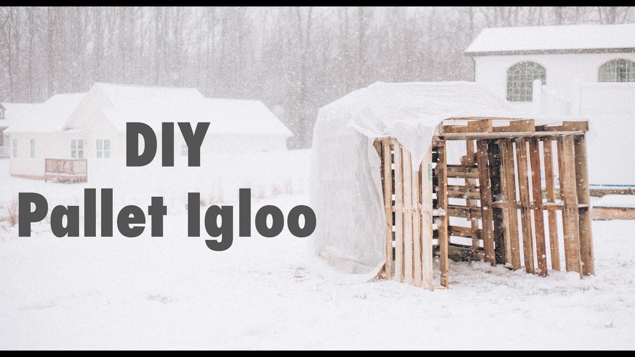 DIY Pallet Igloo YouTube