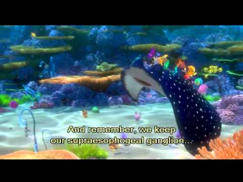 finding-nemo---mr.-ray