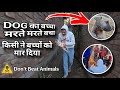 बच्चो के द्वारा मरने से बच्चा #Dog बच्चा 😢|| हमलोगो के जैसा इन्हें भी जीने का हक हैं 🙏||#saveanimals