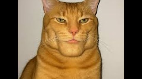 Tugas 3 Pemrograman Dasar - 152024117 - Joddy Lukmanul Hakim