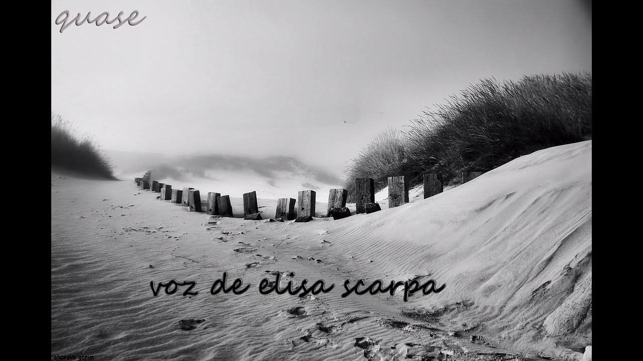 "Cãozinho" de elisa scarpa