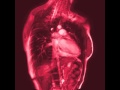 Live mri heart beats