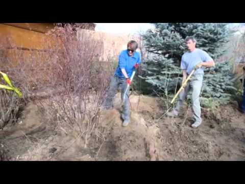 Alexander Dawson School helps with Lyons cleanup