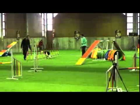 knpv berger hollandais DKBS Hallenmasters Kevin Pohl und Funny 03 02 2013