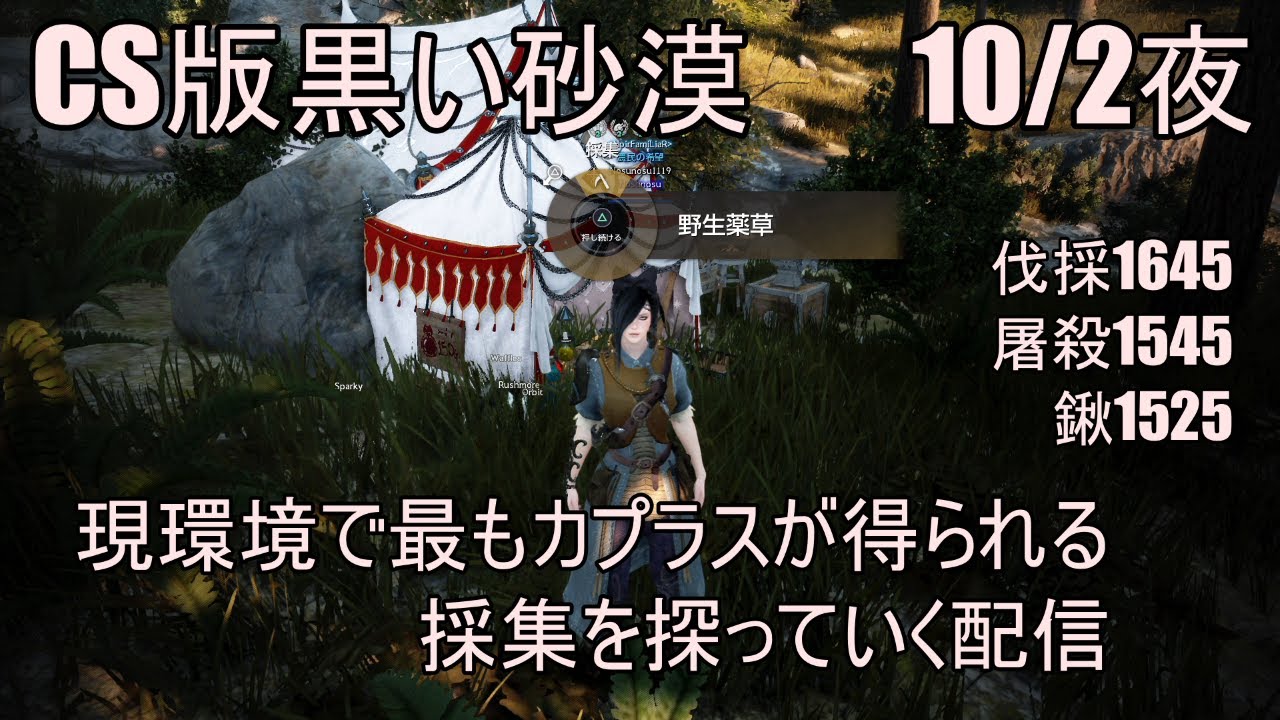 楽しいよps4黒い砂漠 10 2夜現環境の採集カプラス獲得量を探っていく配信 ご質問などあればぜひ Youtube