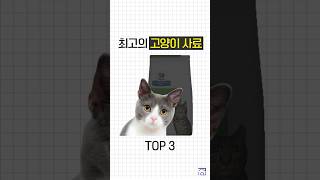 수의사님도 추천하는 고양이 사료TOP3