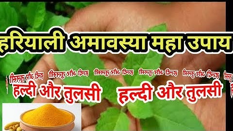 24 जुलाई हरियाली अमावस्या तुलसी के पत्ते और हल्दी वाला उपाय जरूर करेंPardep mishra#हरियाली अमावस्या