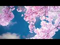 Tenno Mind Temple 🐠‍рџ Lofi Hip Hop Relaxing Beats Tenno Mind Temple 🐠‍рџ Lofi Hip Hop Relaxing Beats