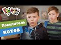 Ералаш | Повелитель котов (Выпуск №356)