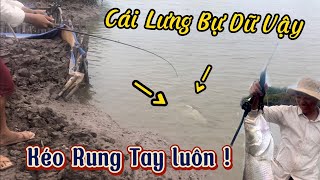 Buổi Chiều Chạm Trán Cá Chẽm Khủng Long Trong Con Đầm Xã Cạn