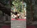 Forearm balancing | karandavasana #yoga #shorts #youtubeshorts #viral