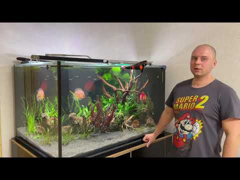 Video: Кантип 700 литрлик аквариум жасоого болот