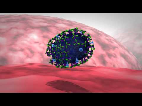 Video: Forskellen Mellem Antigen Drift Og Antigen Forskydning