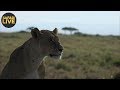 safariLIVE- Sunrise Safari - September 27, 2018