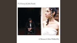 Video thumbnail of "PJ Harvey - Passionless, Pointless"