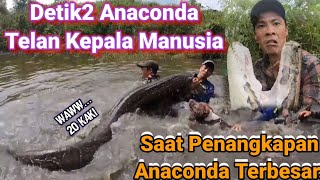 Penangkapan Anaconda‼️ Terbesar Akhir Tahun 2022 Hampir Melahap Kepala Manusia