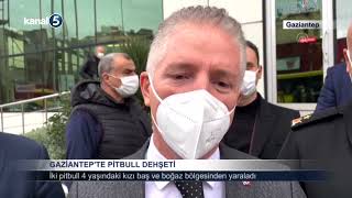 Gaziantepte Pitbull Dehşeti
