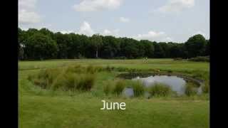 Fix point photography