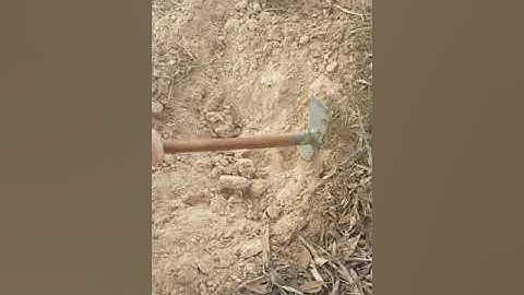 Minelab GPX 7000 - Deep 1 gram gold nugget