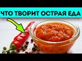 Новое открытие! Острая еда изменяет уровень холестерина, сахара в крови, влияет на тромбы и...