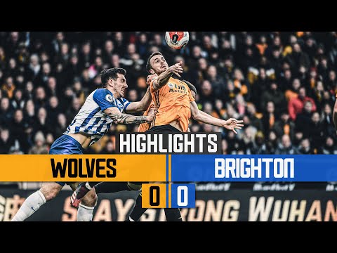 Wolves Brighton Goals And Highlights