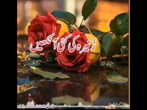 مصائب میں نہ گھبرانا یہی مؤمن کی پہچان ہے