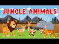 Learn Jungle Animals for Kids | Wild Animal Names &amp; Sounds 🦁🐵