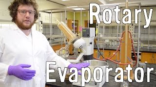 How to Use a Rotovap (Rotary Evaporator)