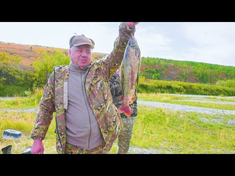 Хариусы – гиганты. Рыбалка на Крайнем Севере. Часть 2 | С полем!