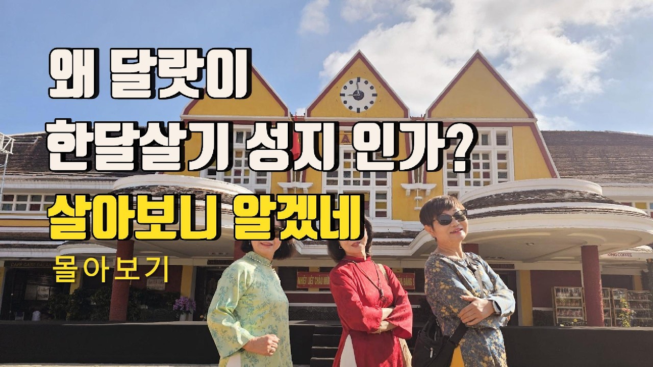 달랏에서 한달을 살면 생기는 일｜은퇴 후 세계여행 (몰아보기)