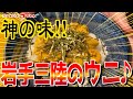 【まさに極上】岩手三陸のウニ♪【おうちゴハン】