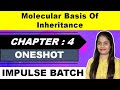 Chapter 4  - Molecular Basis of Inheritance | One shot Lecture| Anjali Ma'am | MHTCET and Boards