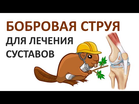 Бобровая струя для лечения суставов