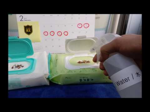 둥기둥기(wet tissue) 아기물티슈