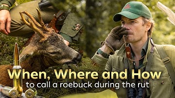 How I Call Roebuck’s During the Rut
