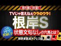 【根岸ステークス　2022】「この1年で貫録UP　状態文句なし」という穴馬のオフレコ話を公開！馬クダンカード！