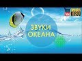 9 часов 🎵Гамма Волны🎵 Лучшая Лаунж Музыка для Релакса 🎵Спокойная Эмбиент Мелодия на Каждый День