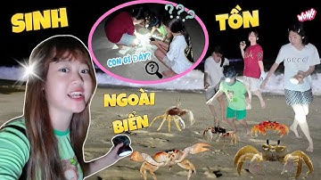 Lần Đầu Sinh Tồn Trên Biển Lúc Nửa Đêm | Team Hà Hà Hí Bắt Còng Gió & Gặp Sinh Vật Lạ!