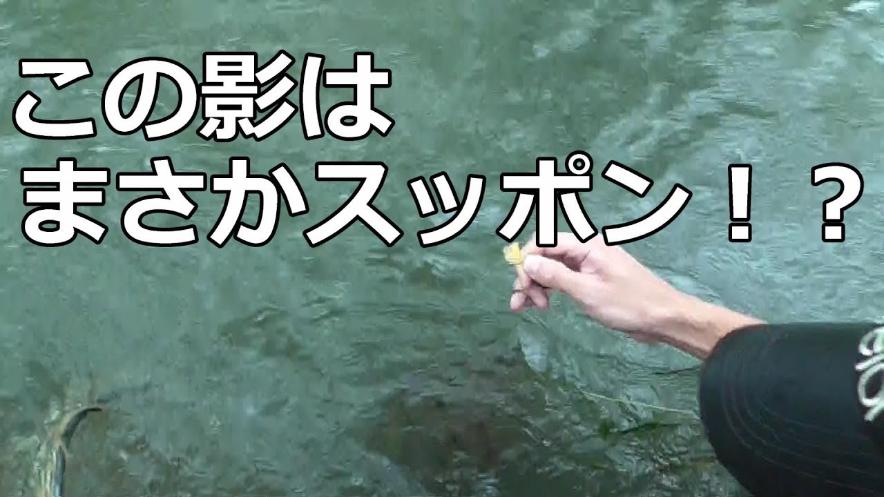 すっぽん釣りに挑戦 巨大スッポン２匹捕獲成功 Youtube