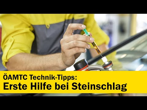 Miioto Scheibenreparatur Set Auto, Windschutzscheibe Reparaturset,  Glasreparaturflüssigkeit, Auto-Windschutzscheiben-Reparaturset zum Beheben  von