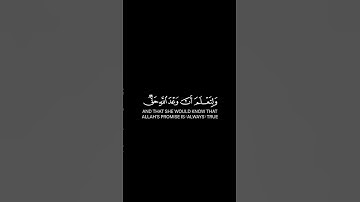 كرومات قران شاشة سوداء _القارئ احمد النفيس _ فرددناهُ إلى أُمه #قرآن #كرومات _شاشة_سوداء