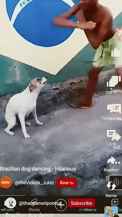 BRAZIL DOG DANCE 🤣