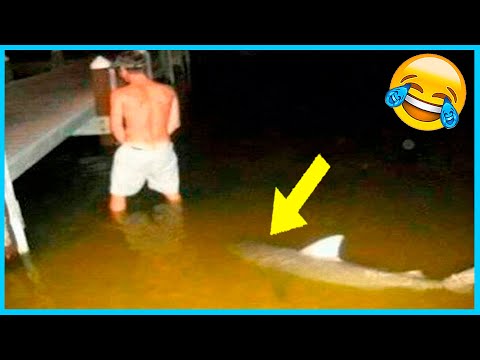 Best Funny Videos Compilation 🤣 Pranks - Amazing Stunts - By Just F7 🍿 #58