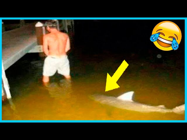 Best Funny Videos Compilation 🤣 Pranks - Amazing Stunts - By Just F7 🍿 #58 class=