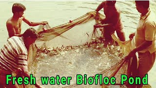Model Cost for Construction of Fresh water Biofloc pond