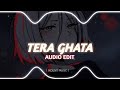 Gajendra Verma Tera Ghata Audio Edit