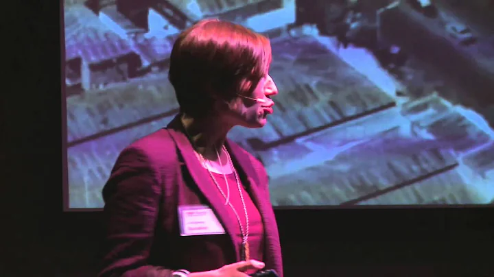 Visualizing the past to shape the future: Liz McEnaney at TEDxDumbo