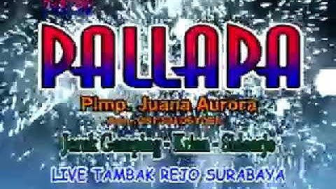 MENUNGGU SHOLIQ NEW PALLAPA (KOPLO CLASSIC LAWAS)