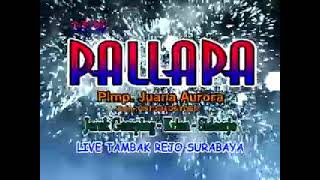 MENUNGGU SHOLIQ NEW PALLAPA (KOPLO CLASSIC LAWAS)