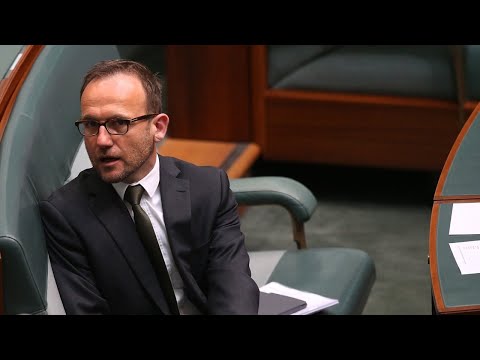 Greens' ‘shadow cabinet’